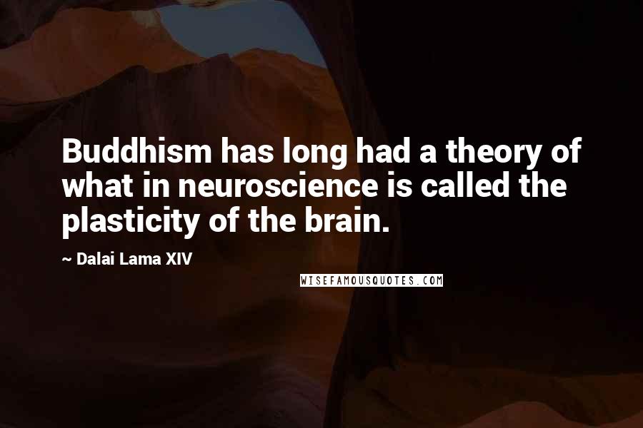 Dalai Lama XIV Quotes: Buddhism has long had a theory of what in neuroscience is called the plasticity of the brain.