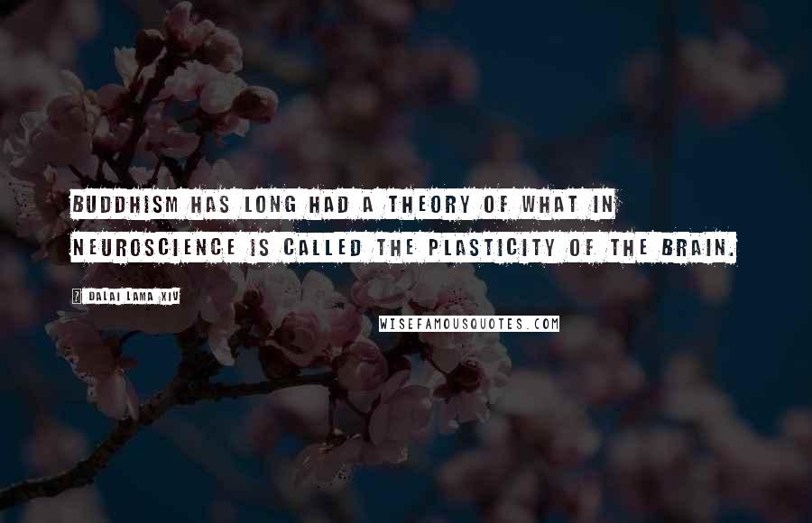 Dalai Lama XIV Quotes: Buddhism has long had a theory of what in neuroscience is called the plasticity of the brain.