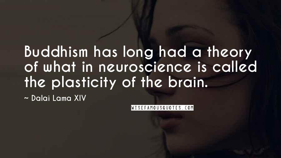 Dalai Lama XIV Quotes: Buddhism has long had a theory of what in neuroscience is called the plasticity of the brain.