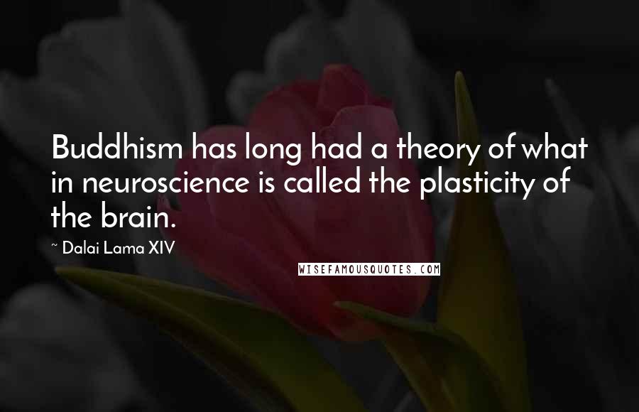 Dalai Lama XIV Quotes: Buddhism has long had a theory of what in neuroscience is called the plasticity of the brain.