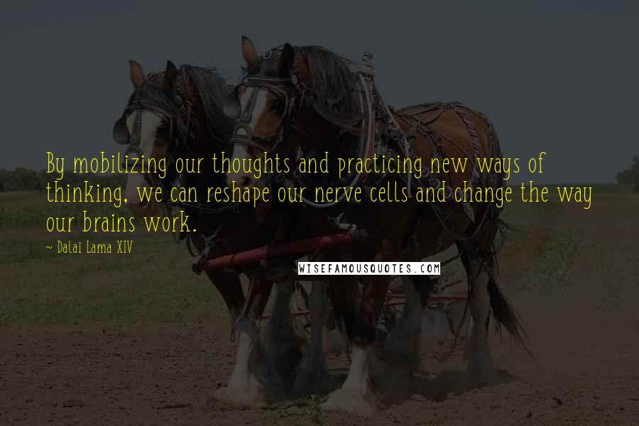 Dalai Lama XIV Quotes: By mobilizing our thoughts and practicing new ways of thinking, we can reshape our nerve cells and change the way our brains work.