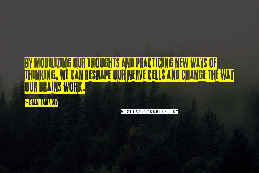 Dalai Lama XIV Quotes: By mobilizing our thoughts and practicing new ways of thinking, we can reshape our nerve cells and change the way our brains work.