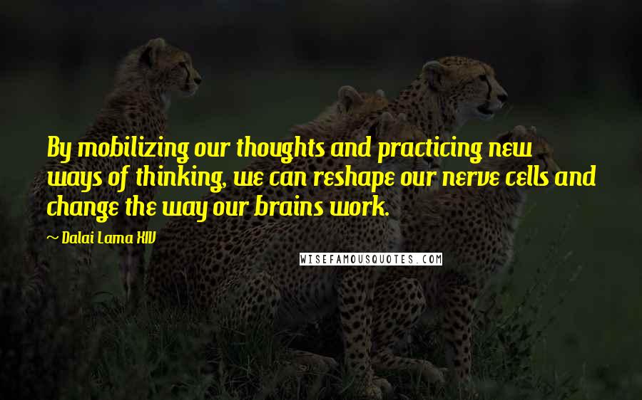 Dalai Lama XIV Quotes: By mobilizing our thoughts and practicing new ways of thinking, we can reshape our nerve cells and change the way our brains work.