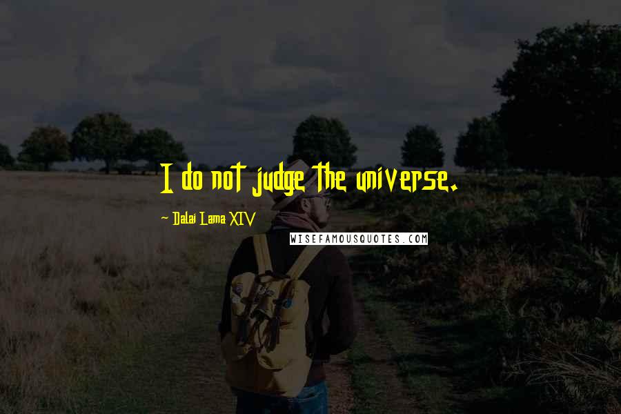 Dalai Lama XIV Quotes: I do not judge the universe.