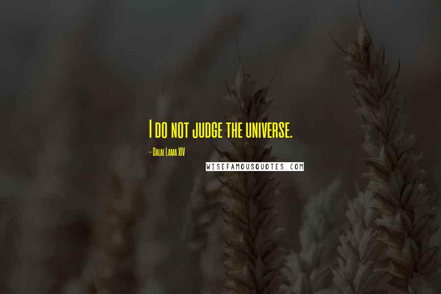 Dalai Lama XIV Quotes: I do not judge the universe.