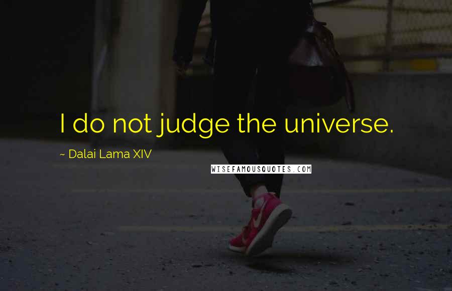 Dalai Lama XIV Quotes: I do not judge the universe.