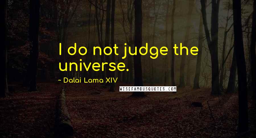 Dalai Lama XIV Quotes: I do not judge the universe.