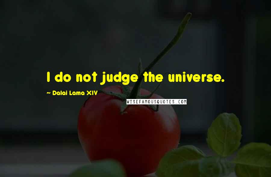 Dalai Lama XIV Quotes: I do not judge the universe.