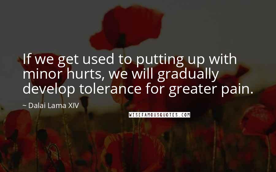 Dalai Lama XIV Quotes: If we get used to putting up with minor hurts, we will gradually develop tolerance for greater pain.