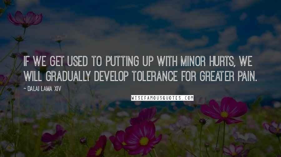 Dalai Lama XIV Quotes: If we get used to putting up with minor hurts, we will gradually develop tolerance for greater pain.