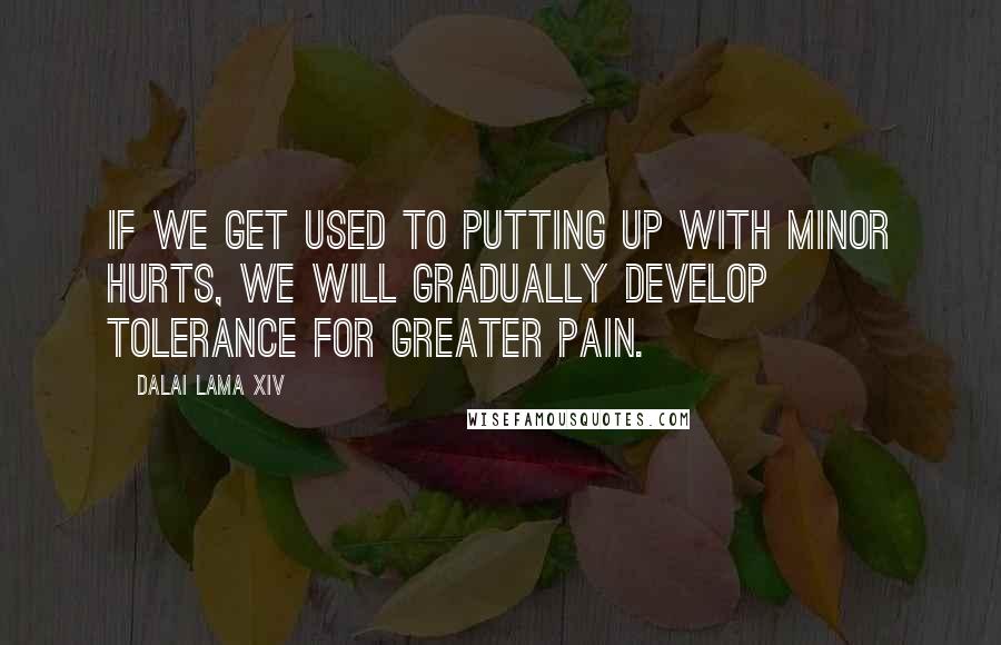 Dalai Lama XIV Quotes: If we get used to putting up with minor hurts, we will gradually develop tolerance for greater pain.