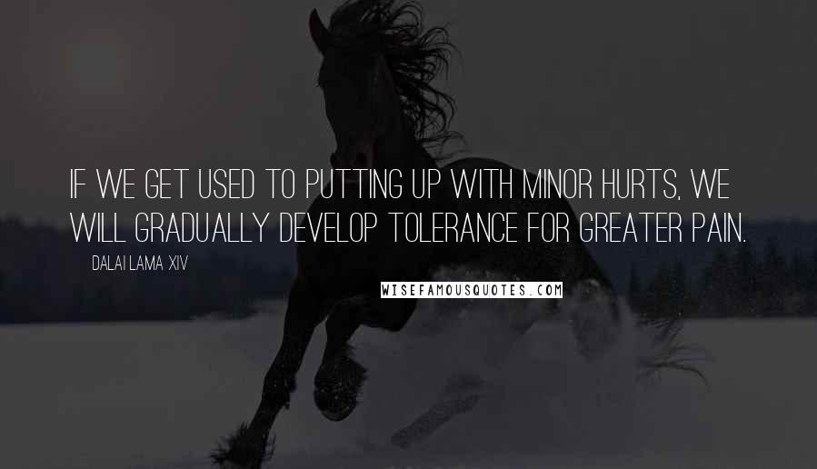 Dalai Lama XIV Quotes: If we get used to putting up with minor hurts, we will gradually develop tolerance for greater pain.