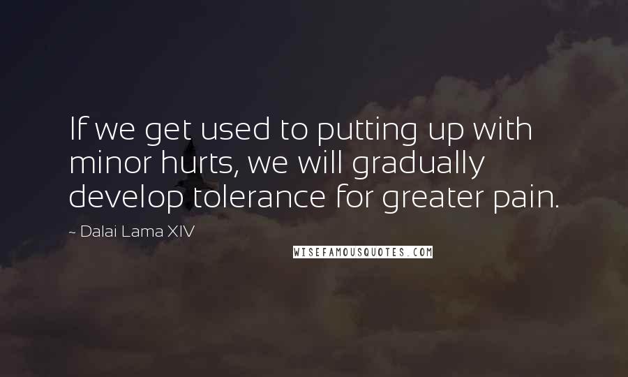Dalai Lama XIV Quotes: If we get used to putting up with minor hurts, we will gradually develop tolerance for greater pain.