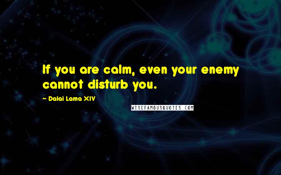 Dalai Lama XIV Quotes: If you are calm, even your enemy cannot disturb you.