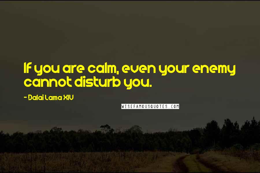 Dalai Lama XIV Quotes: If you are calm, even your enemy cannot disturb you.