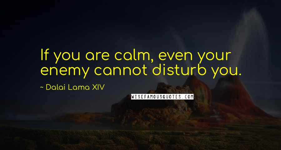 Dalai Lama XIV Quotes: If you are calm, even your enemy cannot disturb you.