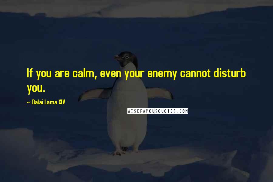 Dalai Lama XIV Quotes: If you are calm, even your enemy cannot disturb you.