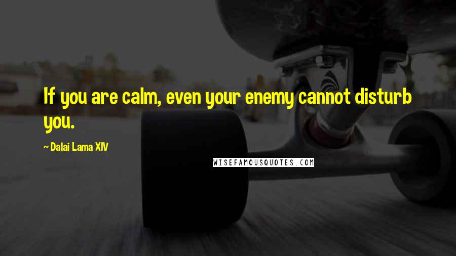 Dalai Lama XIV Quotes: If you are calm, even your enemy cannot disturb you.