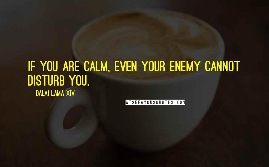 Dalai Lama XIV Quotes: If you are calm, even your enemy cannot disturb you.