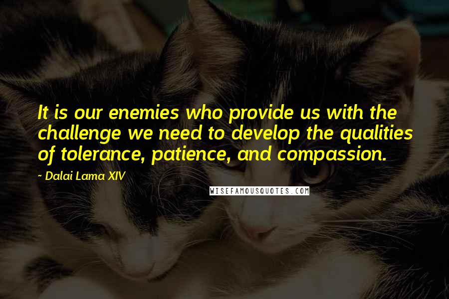 Dalai Lama XIV Quotes: It is our enemies who provide us with the challenge we need to develop the qualities of tolerance, patience, and compassion.