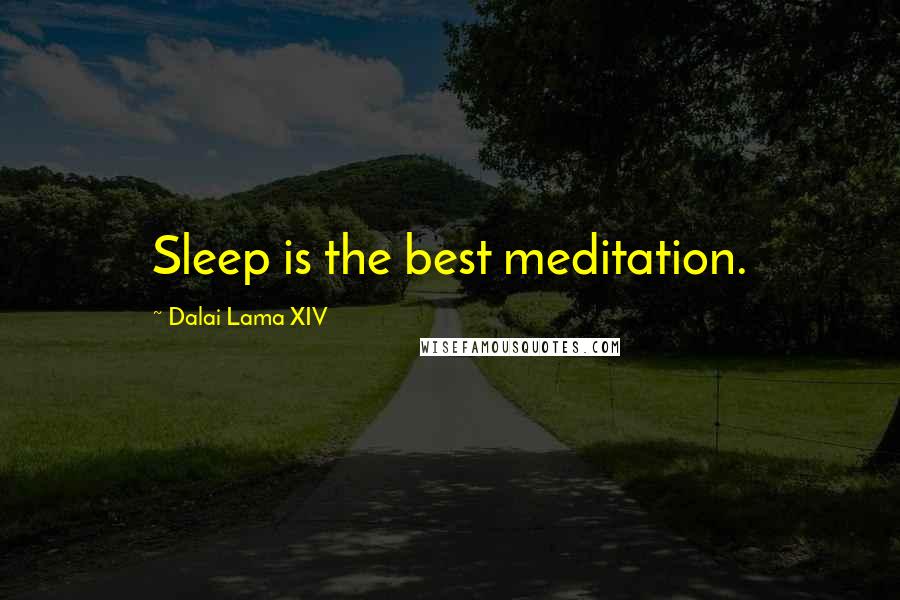 Dalai Lama XIV Quotes: Sleep is the best meditation.