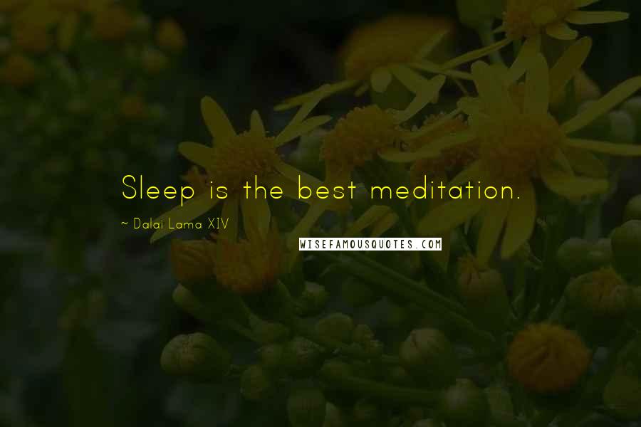 Dalai Lama XIV Quotes: Sleep is the best meditation.