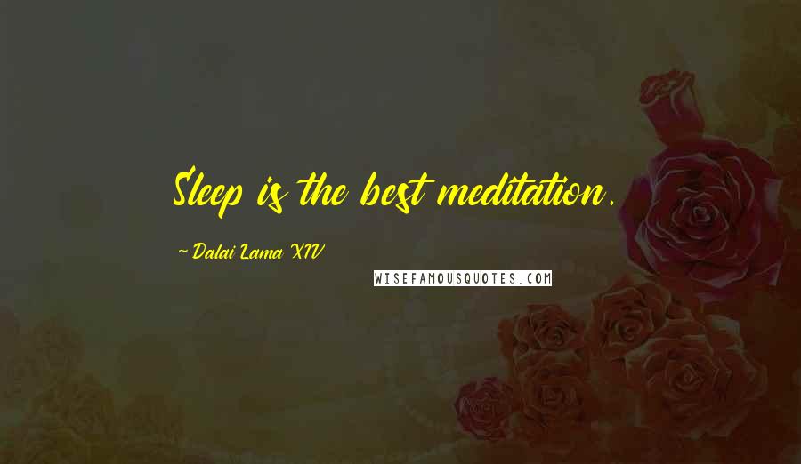 Dalai Lama XIV Quotes: Sleep is the best meditation.