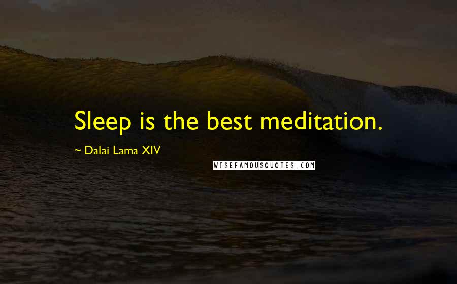 Dalai Lama XIV Quotes: Sleep is the best meditation.