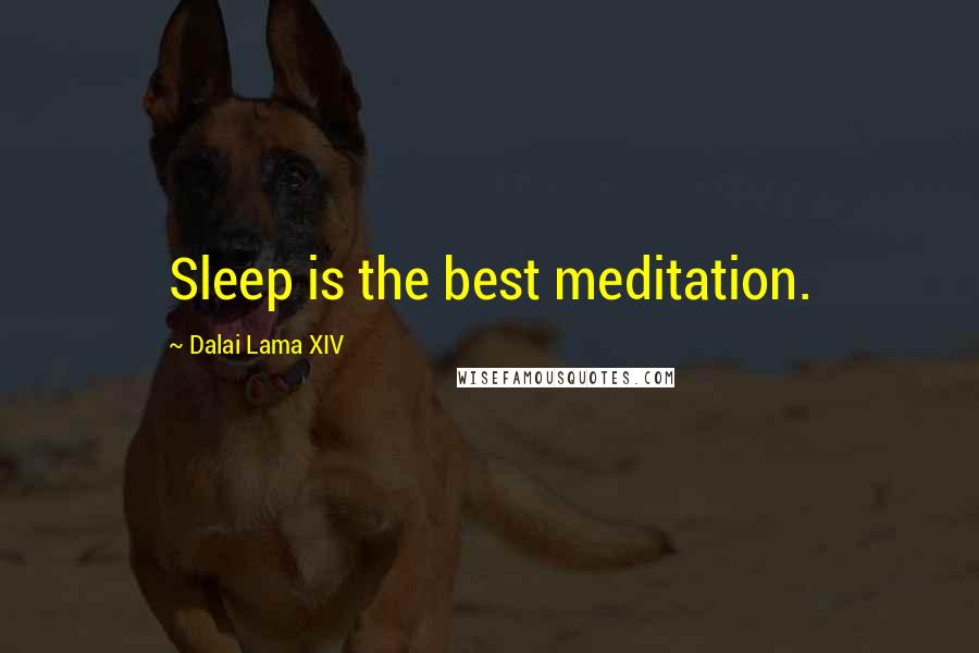 Dalai Lama XIV Quotes: Sleep is the best meditation.