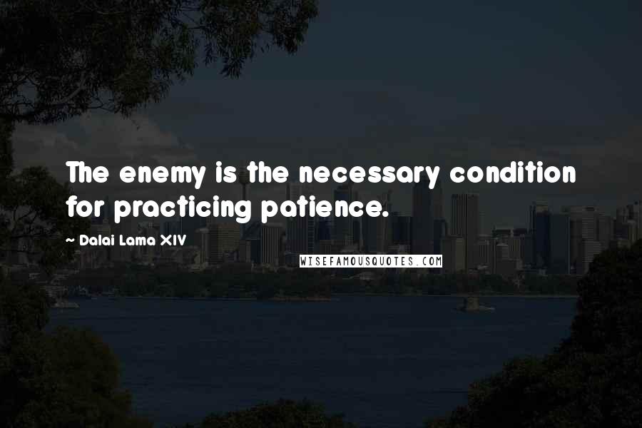 Dalai Lama XIV Quotes: The enemy is the necessary condition for practicing patience.