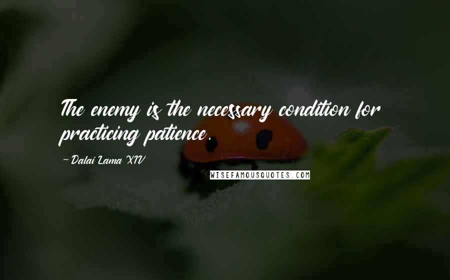 Dalai Lama XIV Quotes: The enemy is the necessary condition for practicing patience.