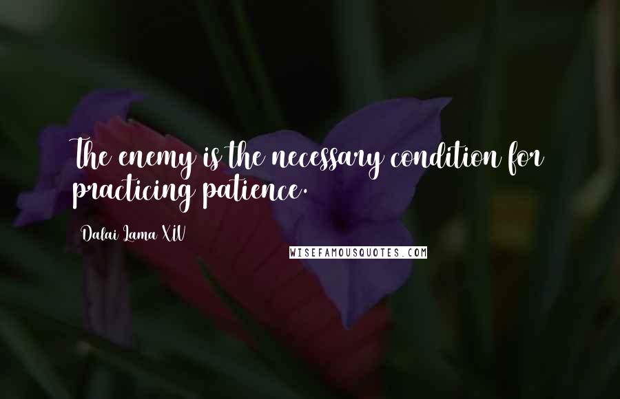 Dalai Lama XIV Quotes: The enemy is the necessary condition for practicing patience.