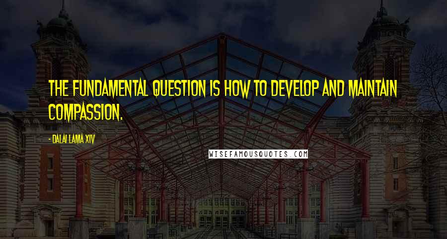 Dalai Lama XIV Quotes: The fundamental question is how to develop and maintain compassion.