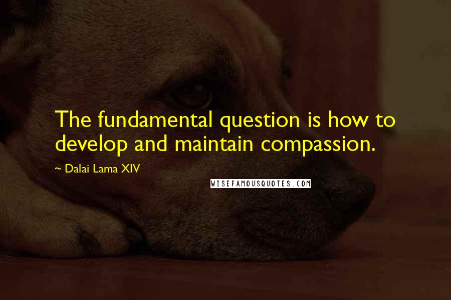 Dalai Lama XIV Quotes: The fundamental question is how to develop and maintain compassion.