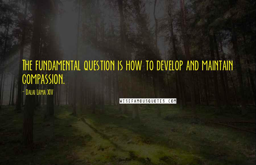 Dalai Lama XIV Quotes: The fundamental question is how to develop and maintain compassion.