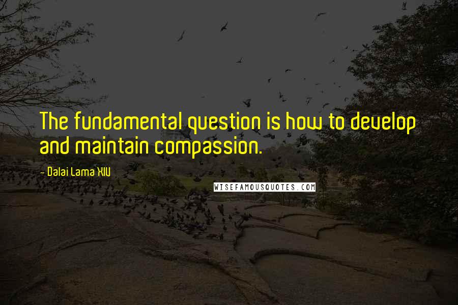 Dalai Lama XIV Quotes: The fundamental question is how to develop and maintain compassion.