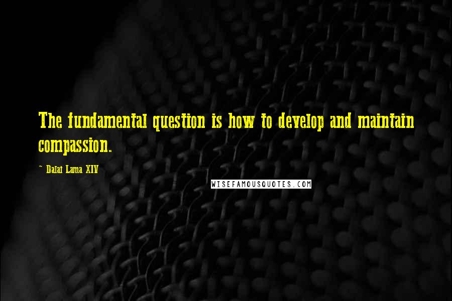 Dalai Lama XIV Quotes: The fundamental question is how to develop and maintain compassion.