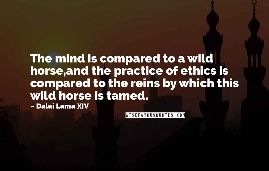 Dalai Lama XIV Quotes: The mind is compared to a wild horse,and the practice of ethics is compared to the reins by which this wild horse is tamed.