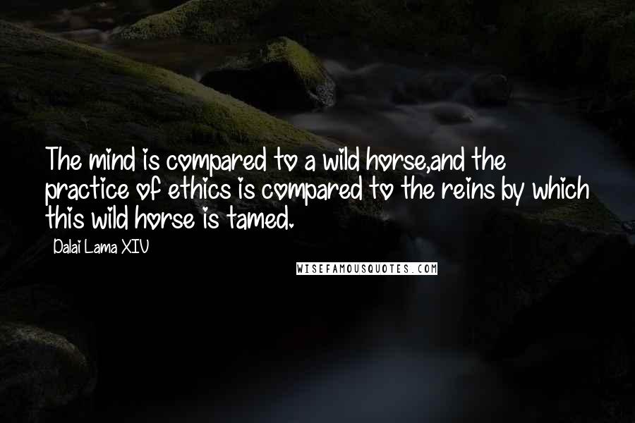 Dalai Lama XIV Quotes: The mind is compared to a wild horse,and the practice of ethics is compared to the reins by which this wild horse is tamed.