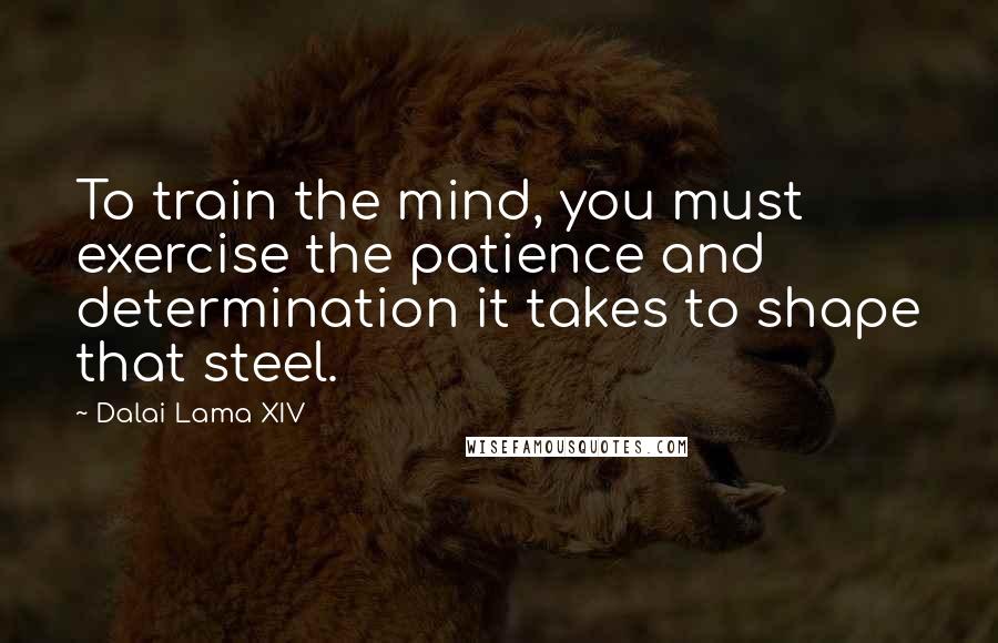 Dalai Lama XIV Quotes: To train the mind, you must exercise the patience and determination it takes to shape that steel.