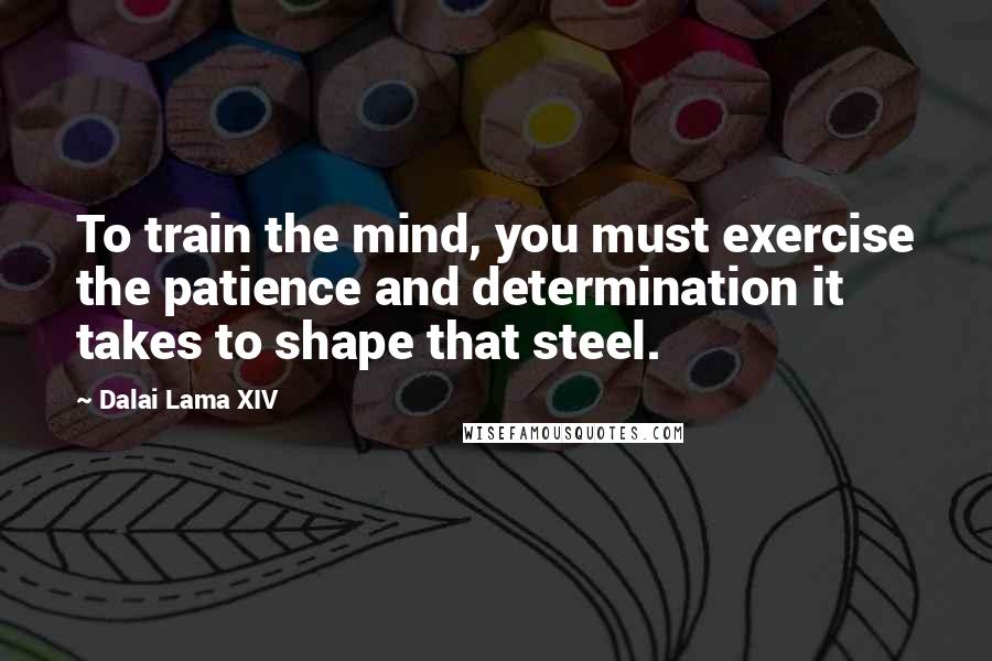 Dalai Lama XIV Quotes: To train the mind, you must exercise the patience and determination it takes to shape that steel.