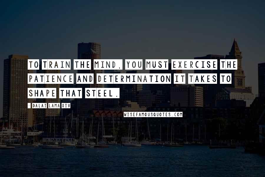 Dalai Lama XIV Quotes: To train the mind, you must exercise the patience and determination it takes to shape that steel.