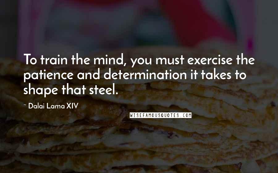 Dalai Lama XIV Quotes: To train the mind, you must exercise the patience and determination it takes to shape that steel.