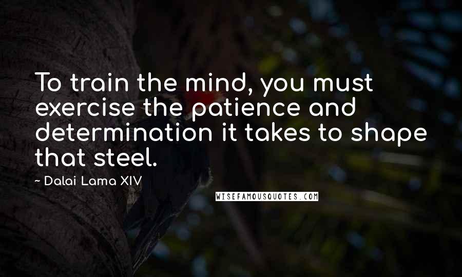 Dalai Lama XIV Quotes: To train the mind, you must exercise the patience and determination it takes to shape that steel.