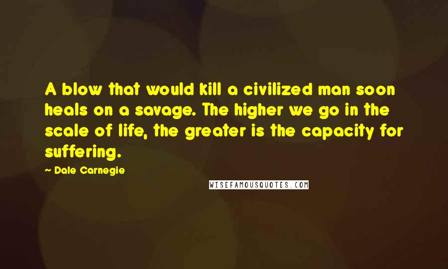 Dale Carnegie Quotes: A blow that would kill a civilized man soon heals on a savage. The higher we go in the scale of life, the greater is the capacity for suffering.