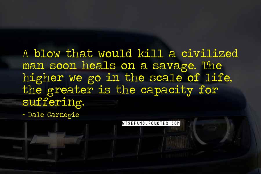 Dale Carnegie Quotes: A blow that would kill a civilized man soon heals on a savage. The higher we go in the scale of life, the greater is the capacity for suffering.