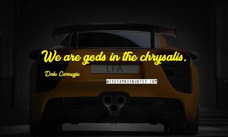 Dale Carnegie Quotes: We are gods in the chrysalis.