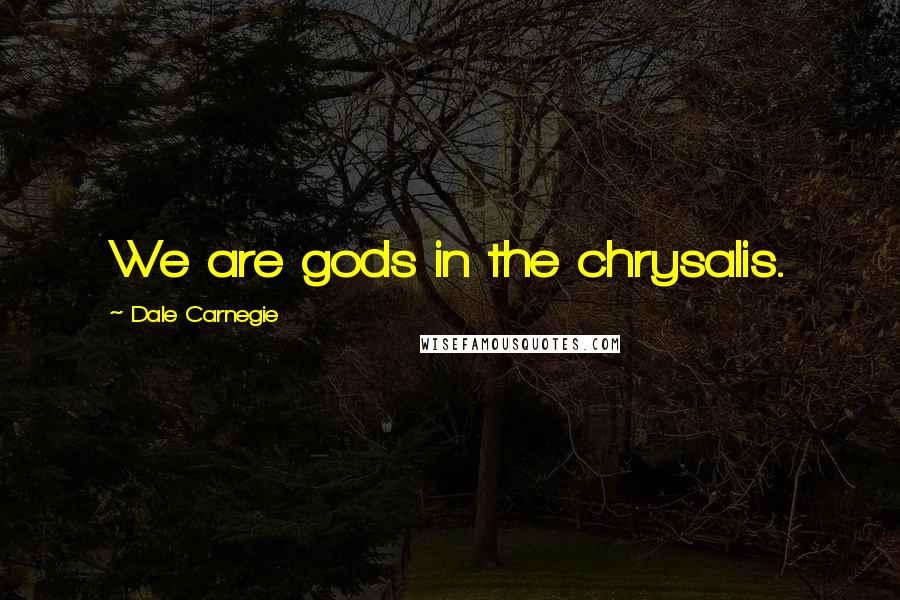 Dale Carnegie Quotes: We are gods in the chrysalis.