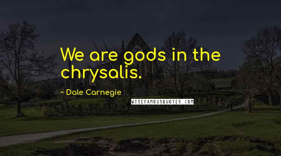 Dale Carnegie Quotes: We are gods in the chrysalis.