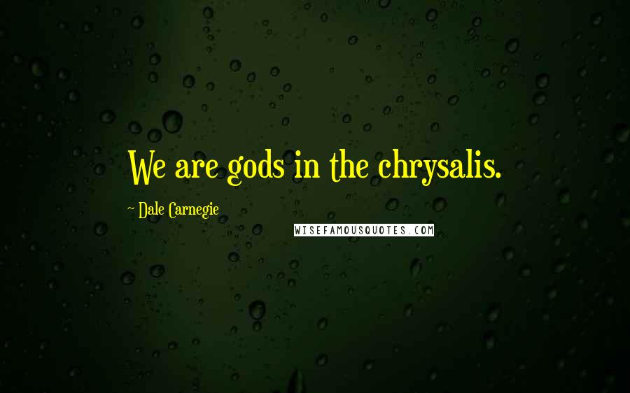 Dale Carnegie Quotes: We are gods in the chrysalis.